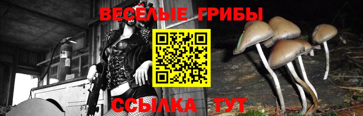 Псилоцибиновые грибы MAGIC MUSHROOMS  Вход с VPN  Галлюциногенные грибы прущие грибы  Железногорск 